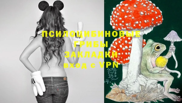 МДМА Кукмор