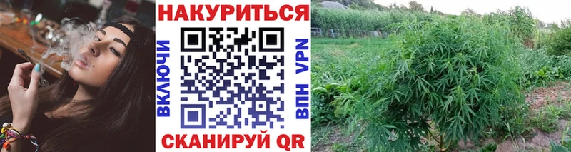 Купить где  Нижняя Тура  МАРИХУАНА марихуана 